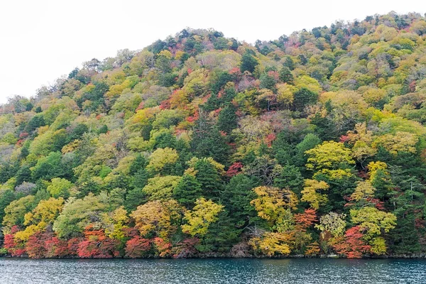 Naruko Gorge Una Las Gargantas Más Pintorescas Región Tohoku Encuentra — Foto de Stock