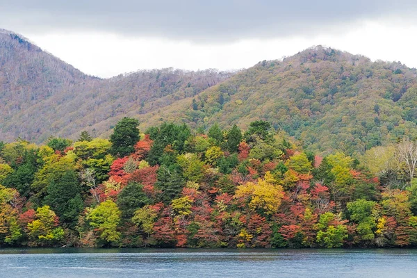 秋の紅葉や紅葉 — ストック写真