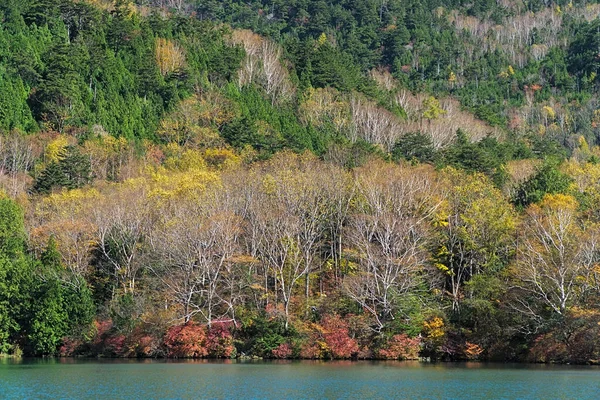 Lago Yunoko Pequeno Lago Localizado Norte Pântano Senjogahara Está Localizado — Fotografia de Stock