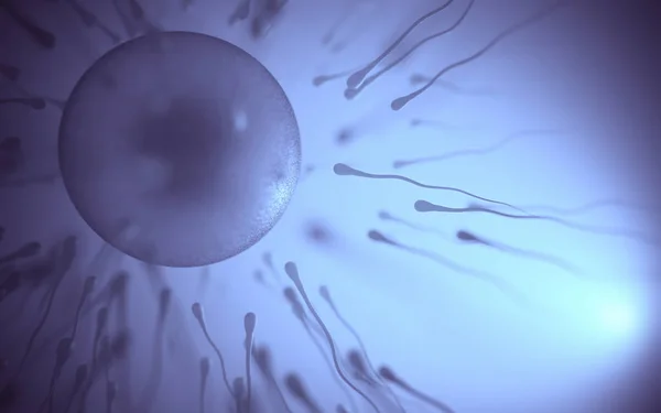 Image Conceptuelle Reproduction Humaine Sperme Essayer Entrer Dans Oeuf — Photo