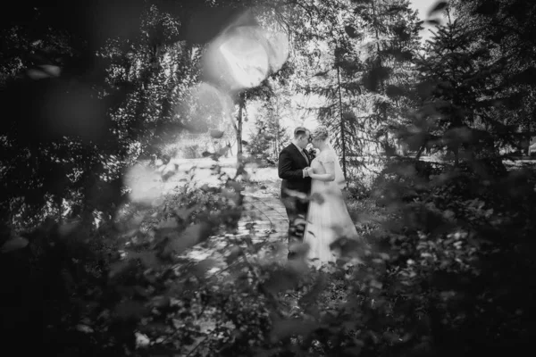 Ασπρόμαυρη Φωτογραφία Όμορφο Νεαρό Ζευγάρι Σταθεί Στο Δάσος Φόντο — Φωτογραφία Αρχείου