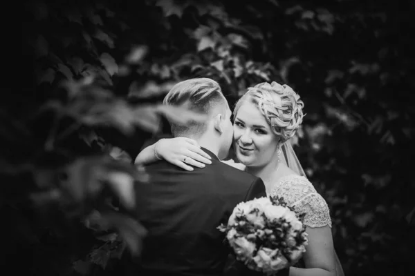 黑白照片美丽的年轻夫妇站在背景森林上 — 图库照片