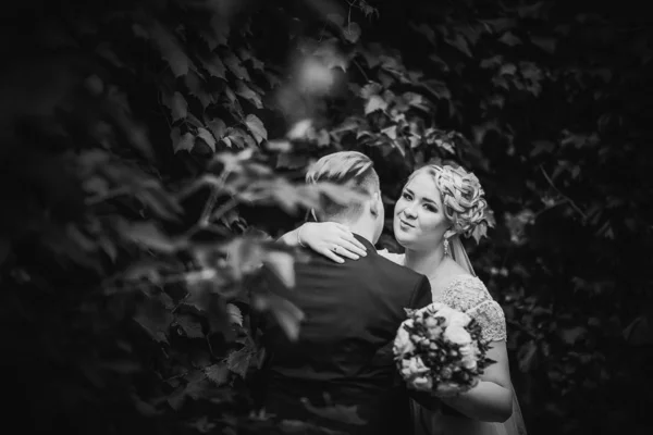 Black White Photography Beautiful Young Couple Stand Background Forest — Stock Photo, Image