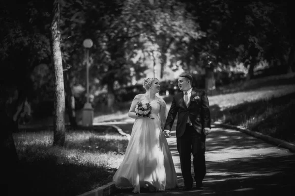 黒い白い写真美しい若いカップルが背景の森の上に立つ — ストック写真