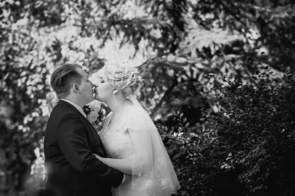 Noir Blanc Photographie Beau Jeune Couple Debout Sur Fond Forêt — Photo