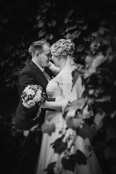 Black White Photography Beautiful Young Couple Stand Background Forest — Stock Photo, Image