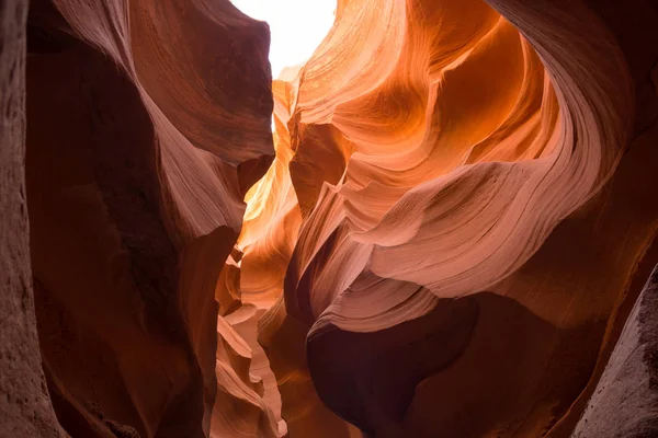 Lower Anteolpe Canyon Seite Arizona — Stockfoto