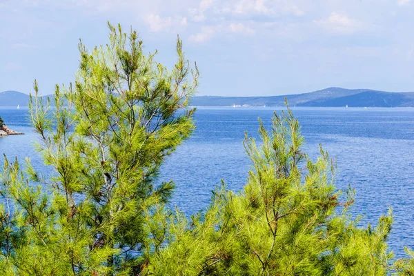 夏のクロアチアの風景 — ストック写真