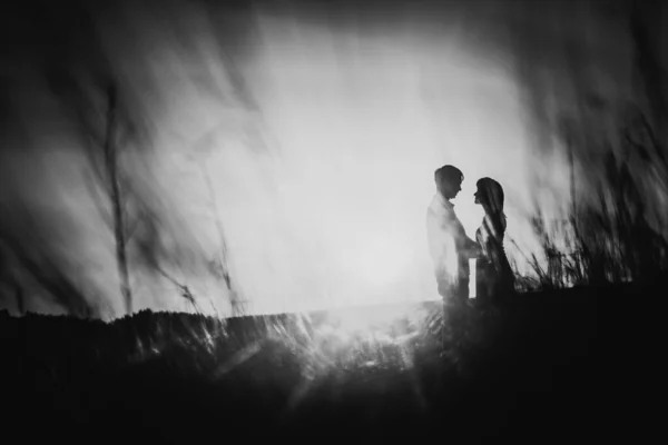 Black White Photography Romantic Silhouette Couple Standing Kissing Background Summer — Stock Photo, Image