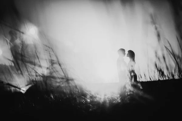 Μαύρο Λευκό Φωτογραφία Ρομαντική Σιλουέτα Ζευγάρι Στέκεται Και Φιλιά Στο — Φωτογραφία Αρχείου