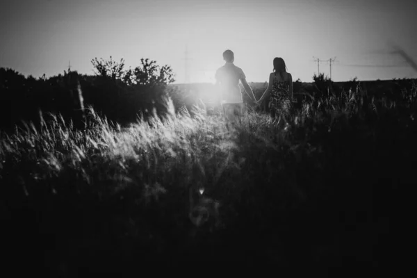 Siyah Beyaz Fotoğraf Romantik Çift Ayakta Arka Plan Yaz Çayır — Stok fotoğraf