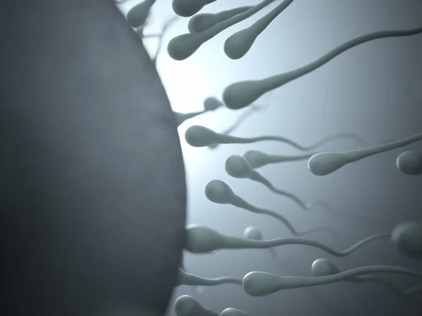 Imagen Conceptual Reproducción Humana Esperma Tratando Entrar Huevo — Foto de Stock