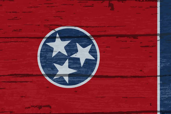 Flag Usa State Tennessee — Stock Photo, Image