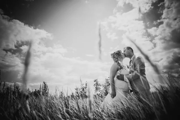 Black white  photography  wedding  beautiful young couple kissing on the background of meadows