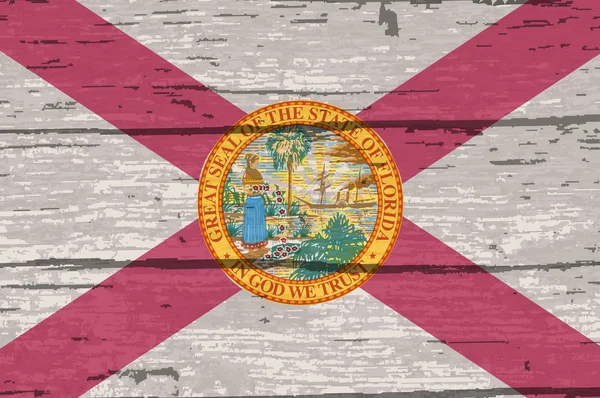 Flag Usa State Florida — Stock fotografie