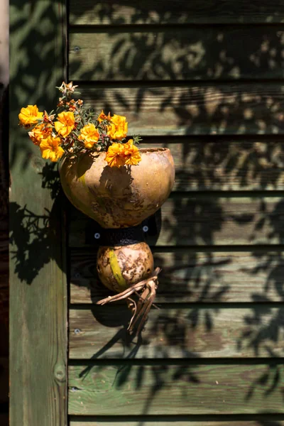 Domácí Dýňový Koláč Kyticí Žlutých Květin — Stock fotografie