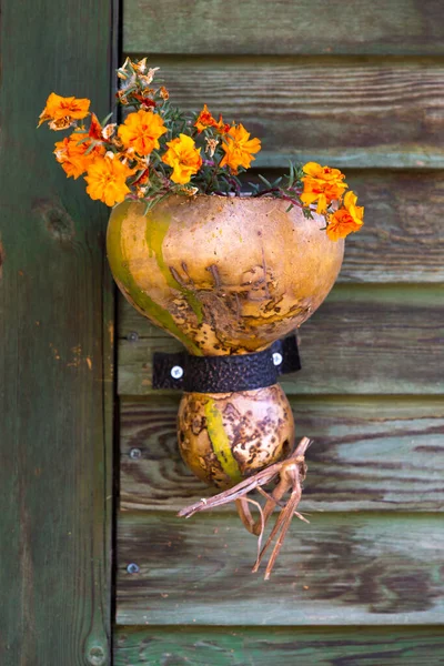 Herfst Stilleven Met Pompoen Pompoenen — Stockfoto