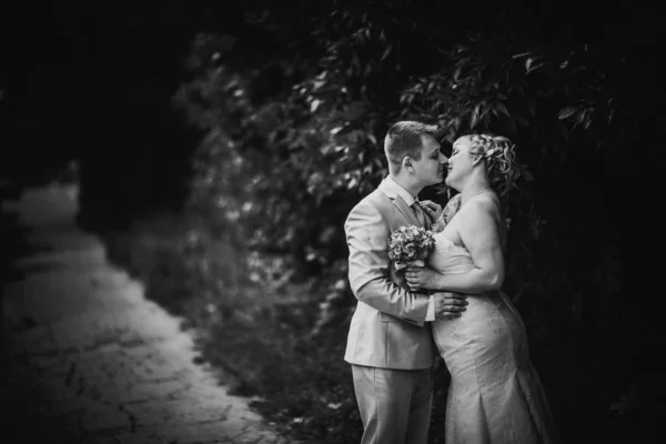 Preto Branco Fotografia Bonito Casamento Jovem Casal Stand Fundo Floresta — Fotografia de Stock