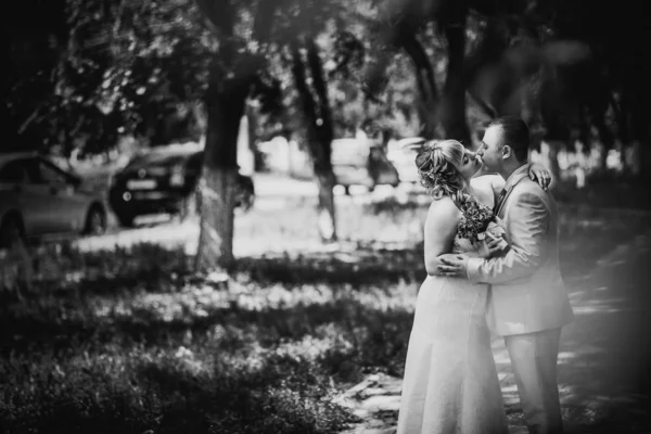 Black White Photography Beautiful Wedding Young Couple Stand Background Forest — Stock Fotó