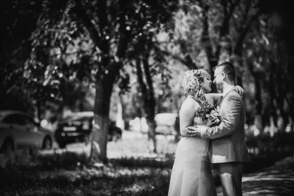 Black White Photography Beautiful Wedding Young Couple Stand Background Forest — 스톡 사진