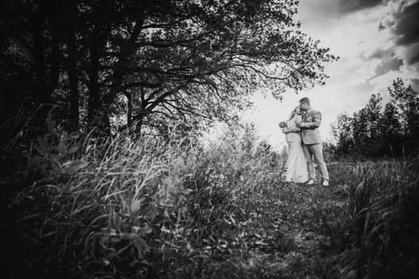 Black White Photography Beautiful Wedding Young Couple Stand Background Forest — Stok fotoğraf