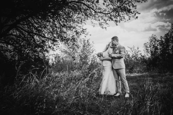 Preto Branco Fotografia Bonito Casamento Jovem Casal Stand Fundo Floresta — Fotografia de Stock