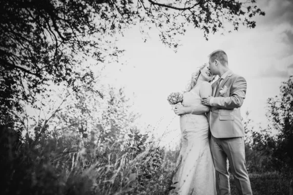 Черно Белая Фотография Красивая Свадьба Молодая Пара Стоять Заднем Плане — стоковое фото