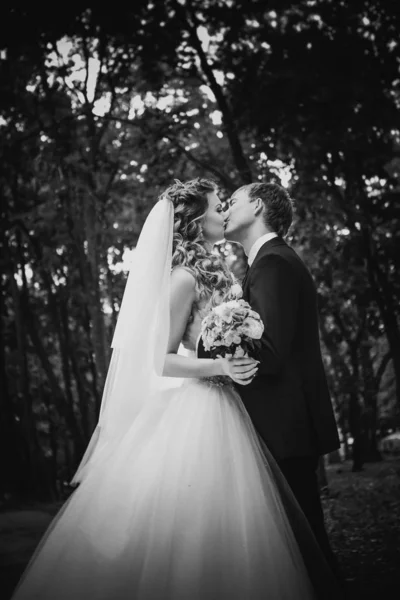 Black White Photography Beautiful Young Couple Posing Park Background Trees — Stockfoto