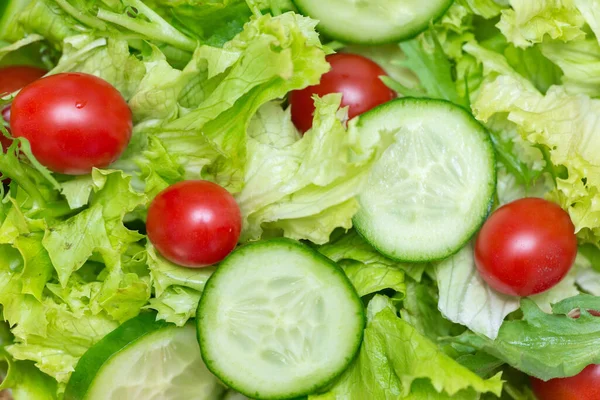 Voorgerecht Tafelservice Eten Een Voorgerecht — Stockfoto