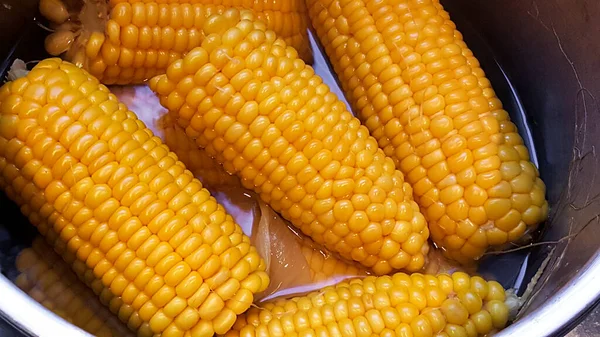 Főzött Kukorica Fazékban — Stock Fotó