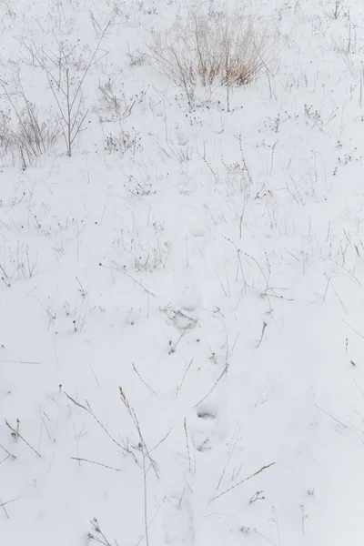 Malebný Pohled Zasněženou Zimní Krajinu — Stock fotografie