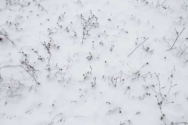 Γραφική Θέα Του Χιονισμένου Χειμερινού Τοπίου — Φωτογραφία Αρχείου