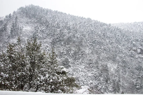 Pintoresca Vista Del Paisaje Invernal Cubierto Nieve —  Fotos de Stock