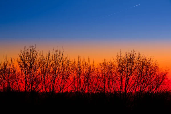 Malebný Výhled Venkovní Scénu — Stock fotografie