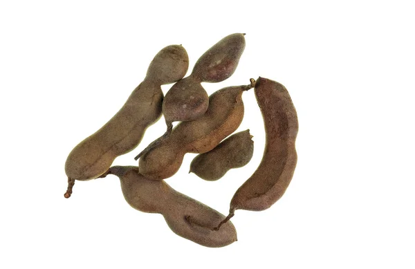 Tamarind Tamarindus Indica Pod Fruit Tamarind Tree Leguminous Tree Native — Stock Photo, Image