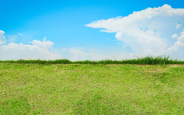 Groen Gras Met Blauwe Lucht Achtergrond Landschap Groen Gras Veld — Stockfoto