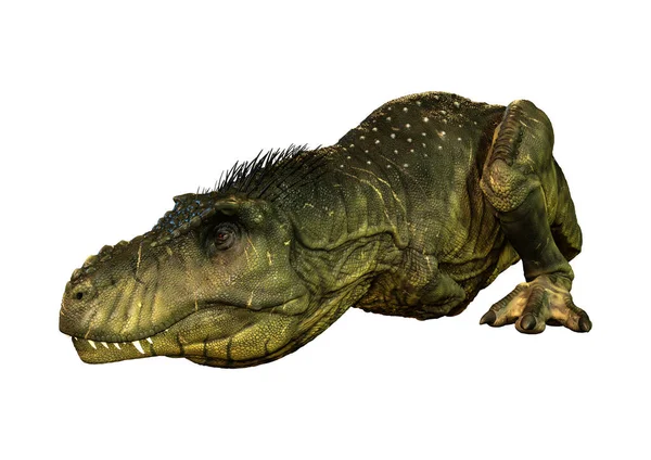 Weergave Van Een Dinosaurus Tyrannosaurus Rex Geïsoleerd Witte Achtergrond — Stockfoto
