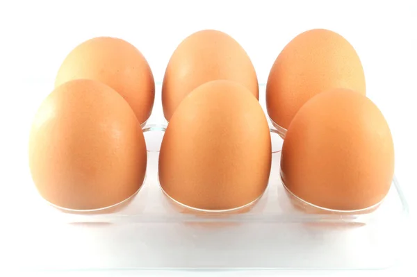 Αυγό Απομονωμένο Έξι Αυγά Κουτί Απομονωμένο Λευκό Φόντο Νωπά Καφέ — Φωτογραφία Αρχείου
