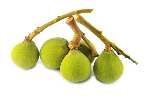 Santol Isolado Verde Fresco Santol Frutas Tropicais Isoladas Sobre Fundo — Fotografia de Stock