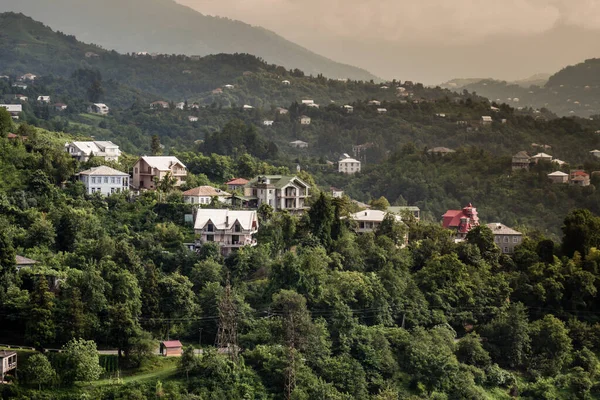 Uitzicht Vanaf Prachtige Botanische Park Batumi Georgië — Stockfoto