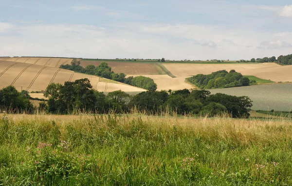 Landschap Van South Downs Bij Amberley Bij Arundel West Sussex — Stockfoto