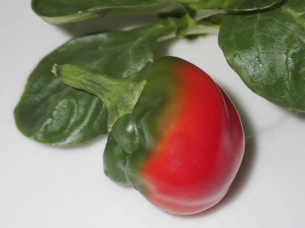 Fresh Green Tomatoes White Background — Stock Photo, Image
