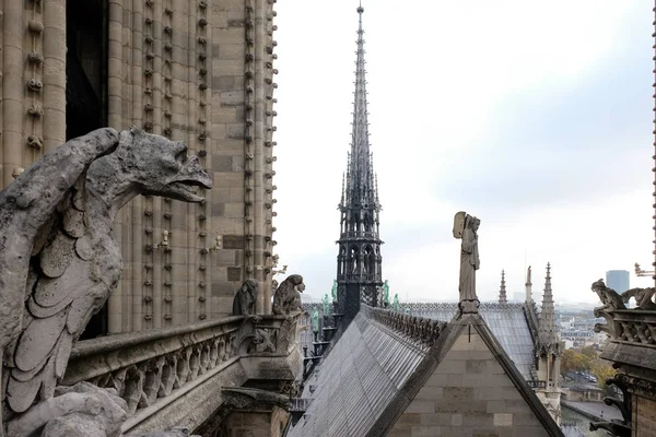 Chimeras Gargoyles Cathedral Notre Dame Paris Looking Paris France — стокове фото