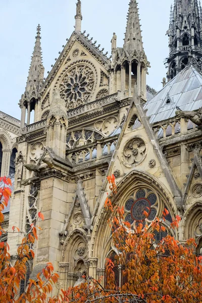 Catedral Notre Dame Paris Mais Bela Catedral Parisl França — Fotografia de Stock