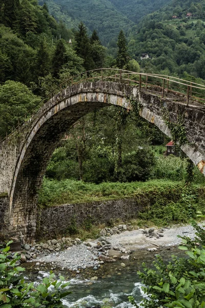 Uno Los Puentes Piedra Sobre Río Tormenta Camlihemsin Rize Turquía —  Fotos de Stock
