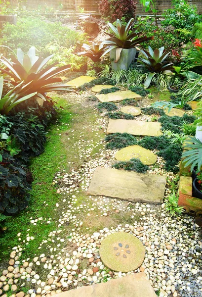 Gehweg Park Der Garten Grünpflanzenweg Mit Stein Auf Dem Frühlingsgarten — Stockfoto