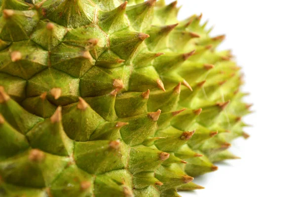 Muscheldorn Durian Isoliert Tropische Frucht Durian Stachelige Schale Isoliert Auf — Stockfoto