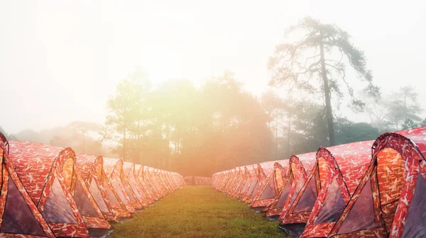 Barraca Acampamento Ficar Uma Linha Com Névoa Nevoeiro Fundo Pinho — Fotografia de Stock