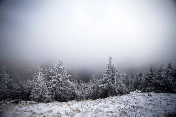 Vánoce Nový Rok Pozadí Zimní Stromy Horách Pokrytá Čerstvým Sněhem — Stock fotografie