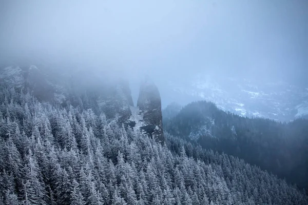 Fondo Navidad Año Nuevo Con Árboles Invierno Montañas Cubiertas Nieve —  Fotos de Stock